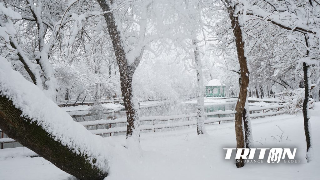 Tennessee Independent Insurance Agents Snowy Farm Scene